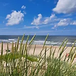 Uosis Palanga