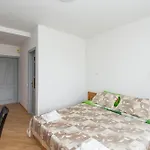 Uosis Palanga