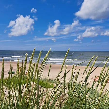 Uosis Паланга